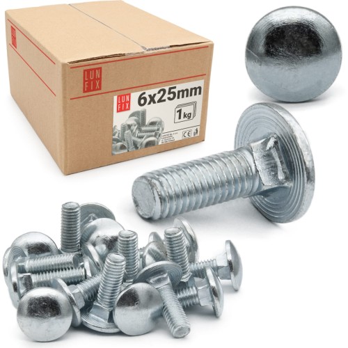 Boulons TRCC M6x25 mm galvanisés 1 kg - LUN FIX
