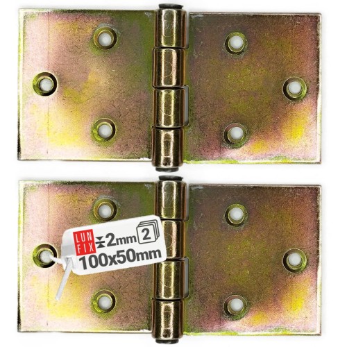 Charnière de fixation 100x50x2 mm 0 mm ZB10 galvanisée - LUN FIX