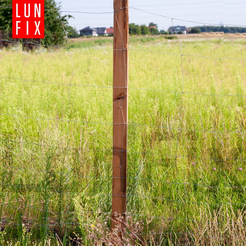 Siatka leśna budowlana 120cm fi 2-1,6mm ocynkowana 50mb + 100 sztuk skobli gratis!