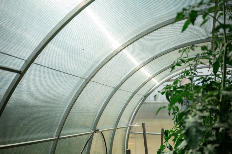 Szklarnia z poliwęglanu 3x10 m "tunel" profil 40x20 mm grubość 4 mm