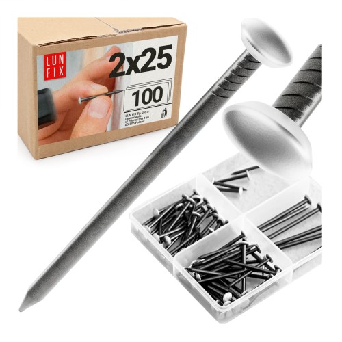 Clous décoratifs 2x25 mm acier trempé argent 100 pièces - LUN FIX
