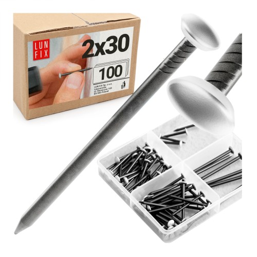Clous décoratifs 2x30 mm acier trempé argent 100 pièces - LUN FIX